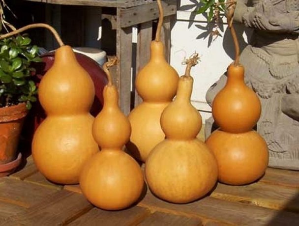 77014d83f9603d2bb1293e03da64a80d