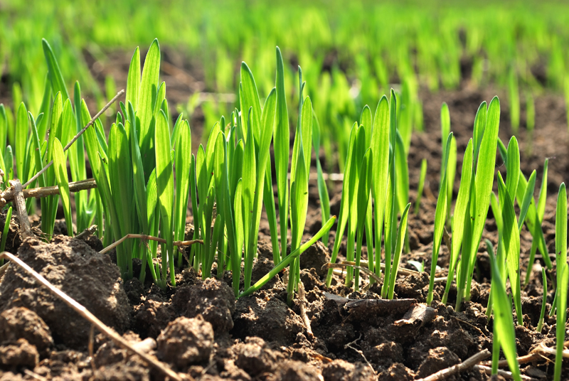 f41ff52f6d01938b1a688df0b01fc0db