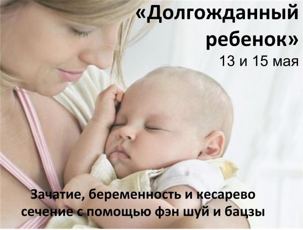 pregnancy seminar