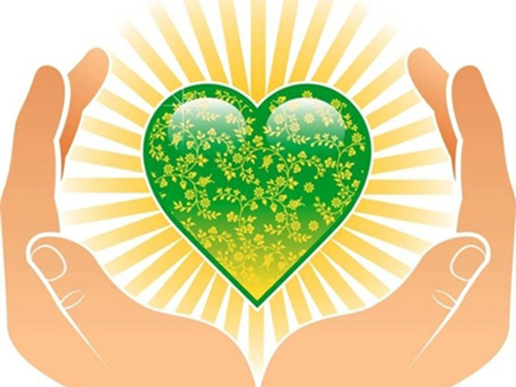 DETAIL_PICTURE_625392